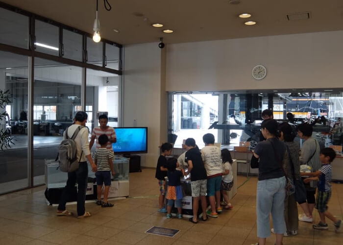タッチング水槽で魚を触る子供たちのイベント風景
