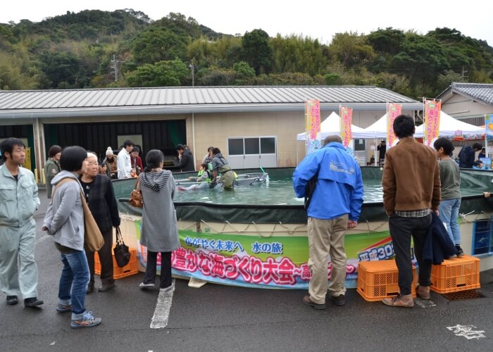 大きなプールで深海魚と触れ合える移動式水族館
