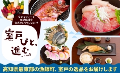 室戸進むびと