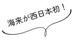 海来が西日本初!?