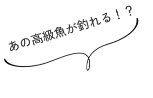 あの高級魚が釣れるかも!?